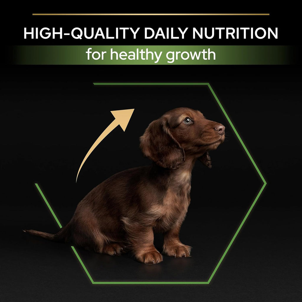 Pro Plan Small Und Mini Puppy Healthy Start, Welpenfutter Trocken, Reich an Huhn, 1Er Pack (1 X 3 Kg)