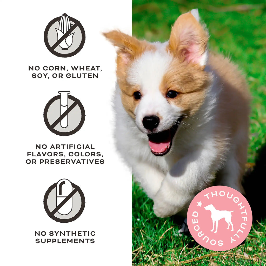 Freeze-Dried Raw Dog Treats - Peelin’ Fantastic