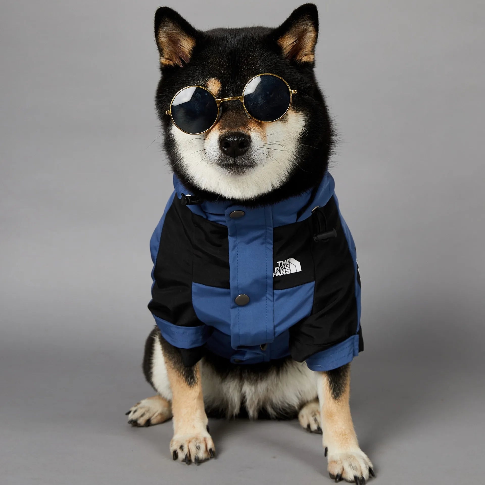 Soild Color Waterproof Dog Rain Coat S-5XL Large Dog Size Jacket Coat Windbreaker Pet Clothes 2 Legged Puppy Out Door Coat